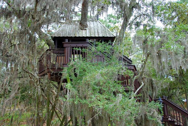 treehouse-custom-alternative-housing